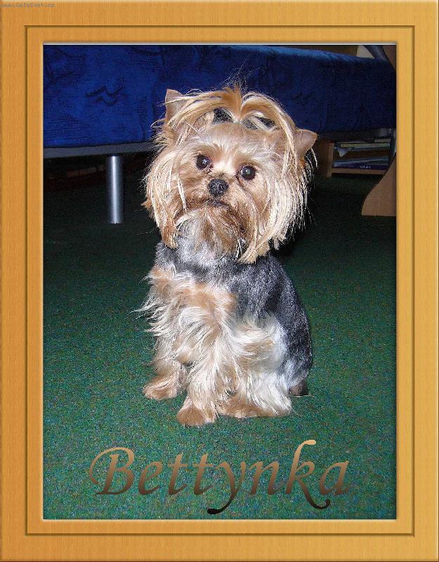 Foto: Bettynka