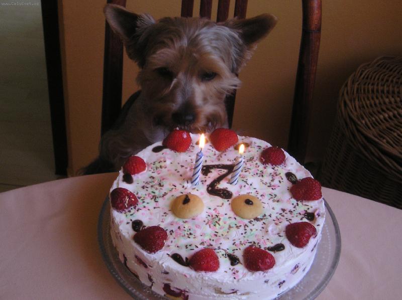 Foto: Ri��nek-Mnam, to se ale m�m....