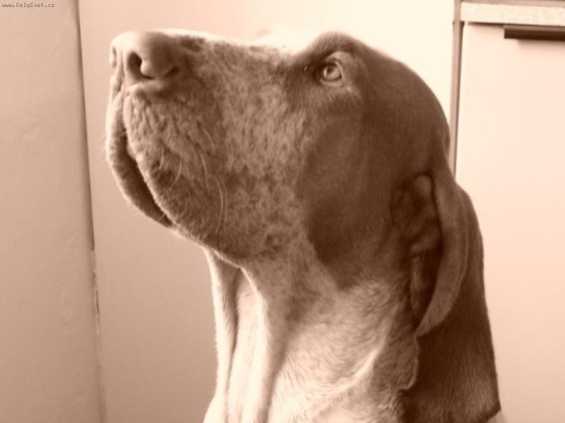 Foto: ICH.Izaak z Bukowego mlyna-ICH.Izaak z Bukowego mlyna