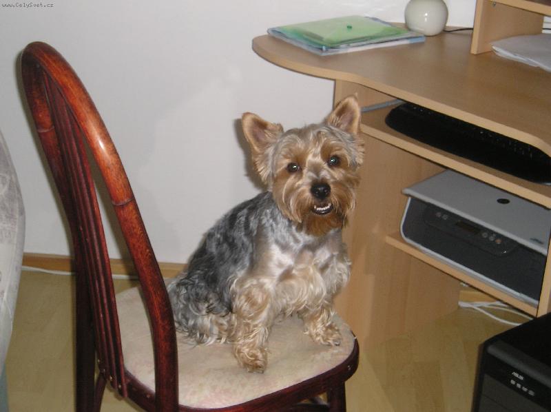 Foto: RICC�NEK-no jo,po��ta�, to je moje...