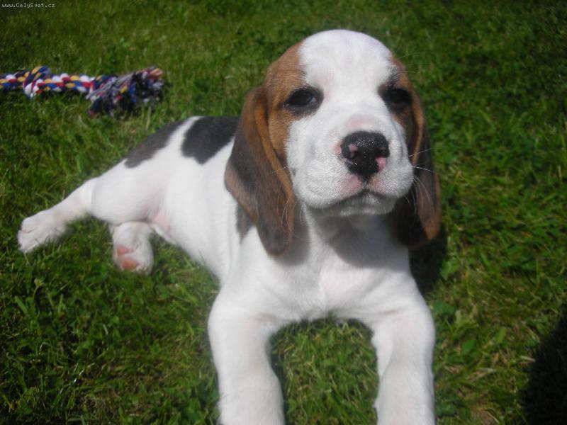 Foto: Moje beru�ka..