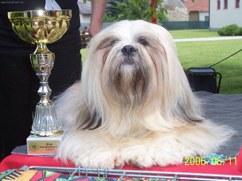 Foto: Wasco-Na v�stave