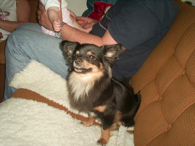 Foto: �ivava Besinka