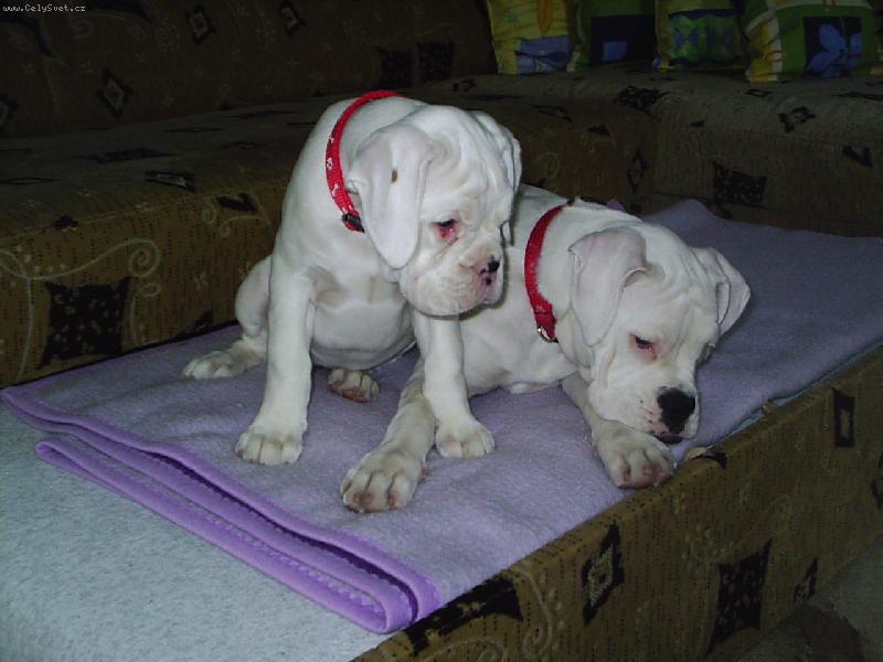 Foto: moje zlat��ka-jso nej......