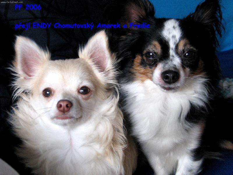 Foto: Fredi a Endy Chomutovsk� Amorek-na�i nejv�t�� kamar�di