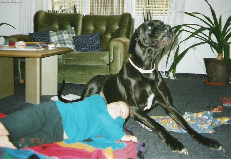 Foto: JENNY.TOMI�-JENNY