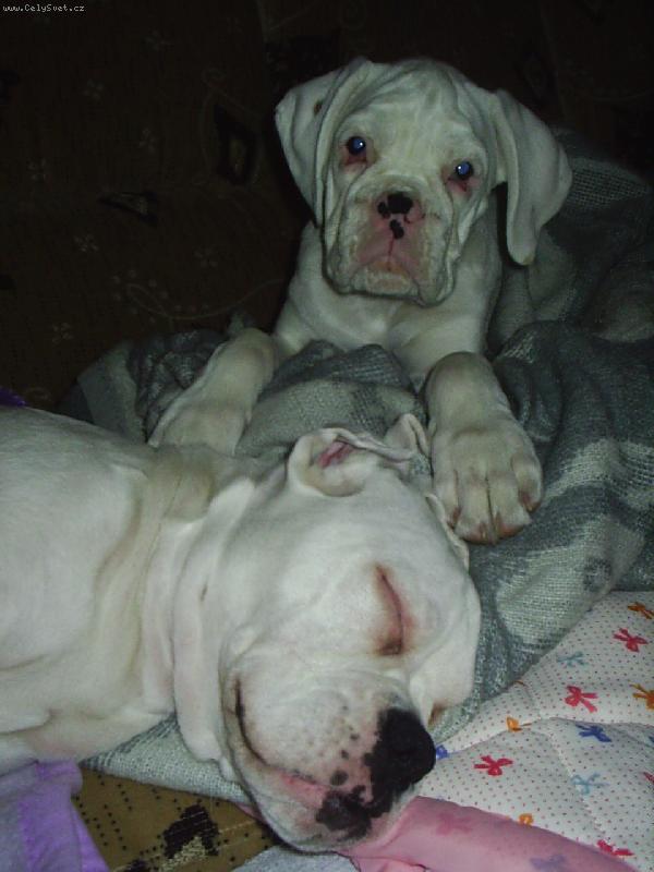 Foto: po��d spolu-kr�sn� sny