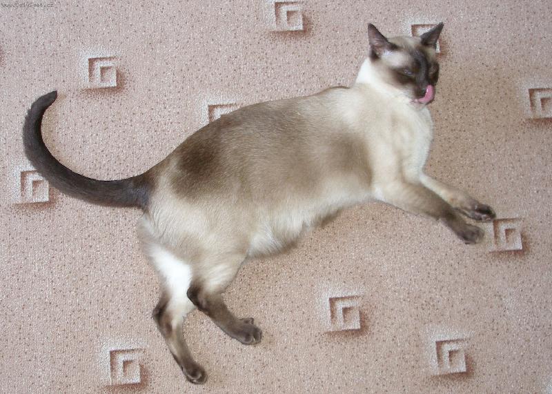 Foto: Fil�pek-RELAX