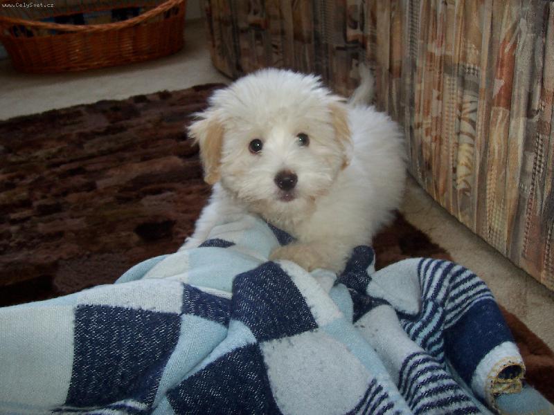 Foto: Lucky-2 mesice