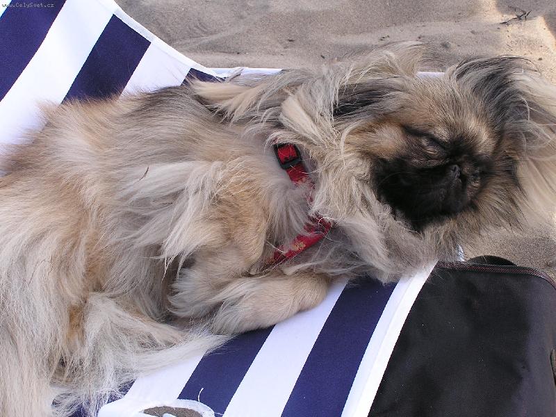 Foto: Ayme na pl�i v It�lii