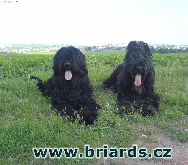 Foto: Komodor Law Nadina sis a Booker Nadina sis!-T�m z ��blic