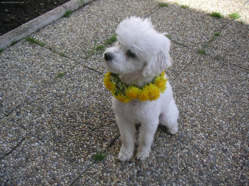 Foto: Mi�i�ka-:)