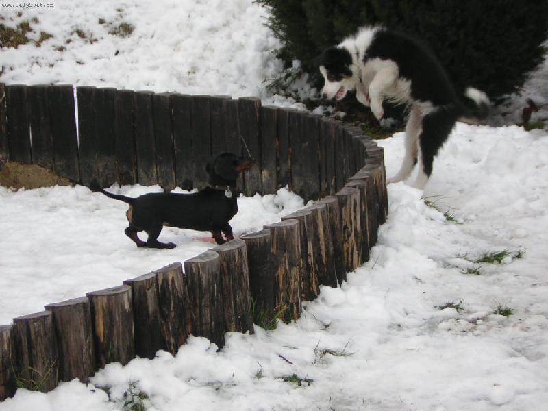 Foto: TO sem se te lek!!!!