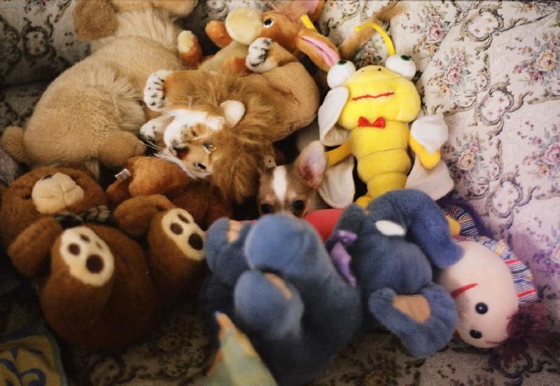 Foto: Ply��k Bonif�c-Kdo hled� najde.