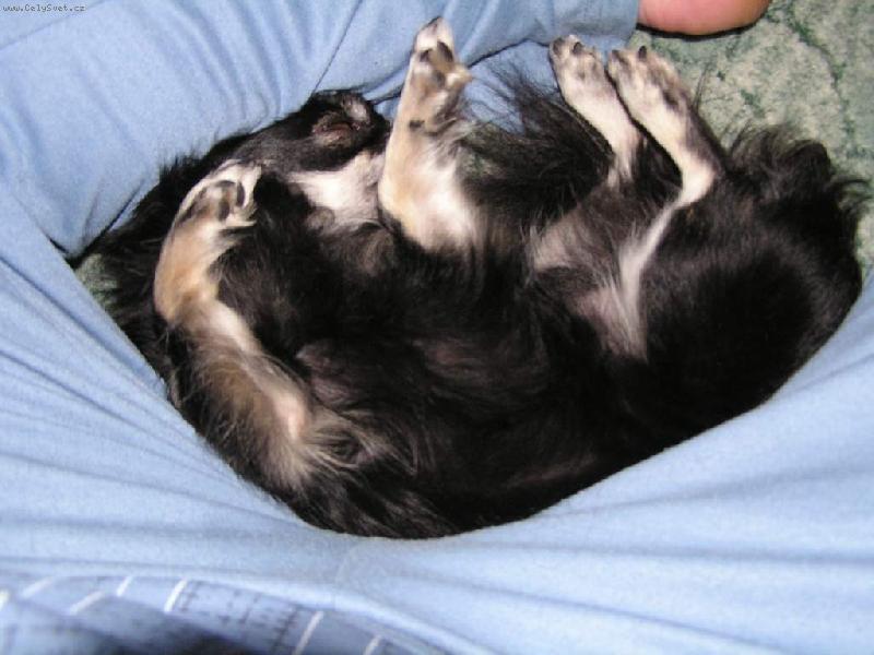 Foto: Tepeln� akumul�tor 2-Kor�lek m� nejrad�ji tuto polohu. :-)