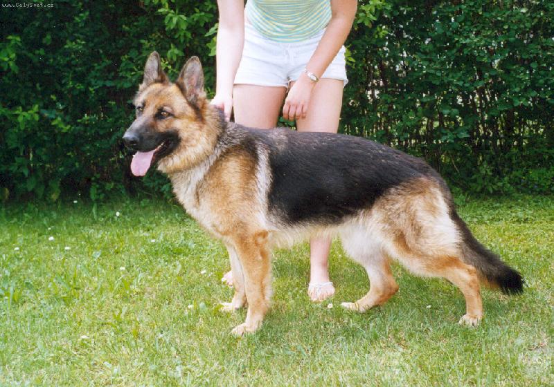 Foto: Bonny-Na�e princezna