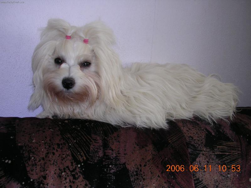 Foto: Aminka-Moje obl�ben� m�ste�ko