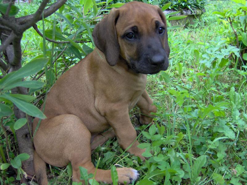 Foto: Odpo�inek mal�ho pr�zkumn�ka