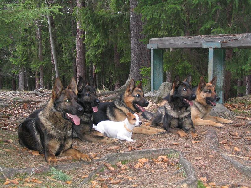 Foto: Odlo�en�-Tak� Jack (mnohan�sobn� otec) m� perfektn� odlo�en�