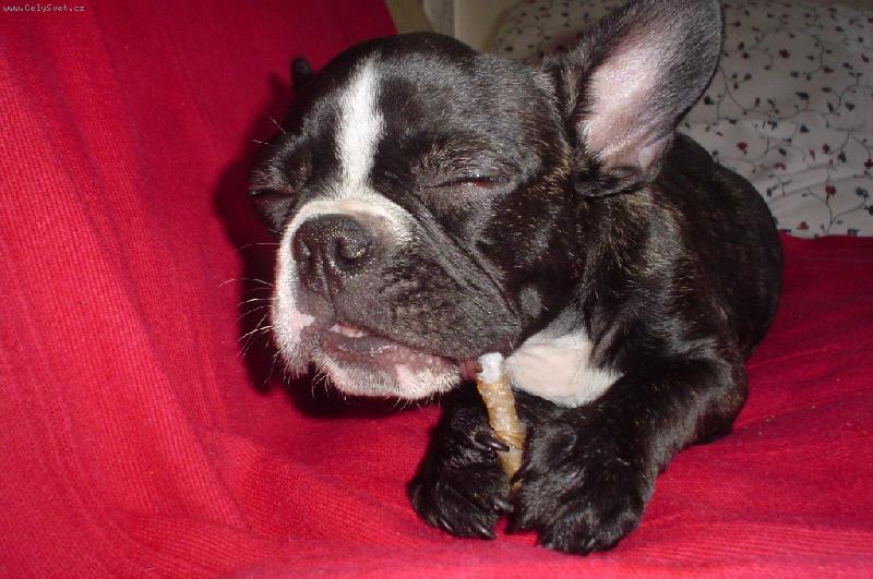 Foto: Gabi-Hmm, ta je dobr�...