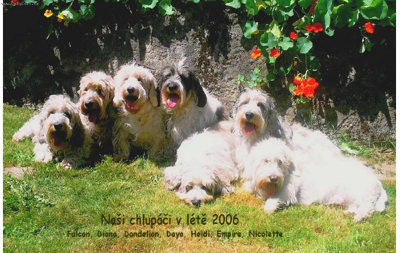 Foto: Na�e sme�ka vend�en�-v l�t� 2006