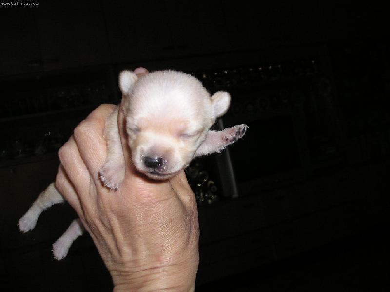 Foto: zat�m se vejdu do dlan�...