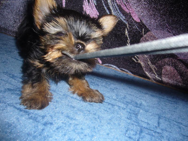 Foto: p�etahovan�