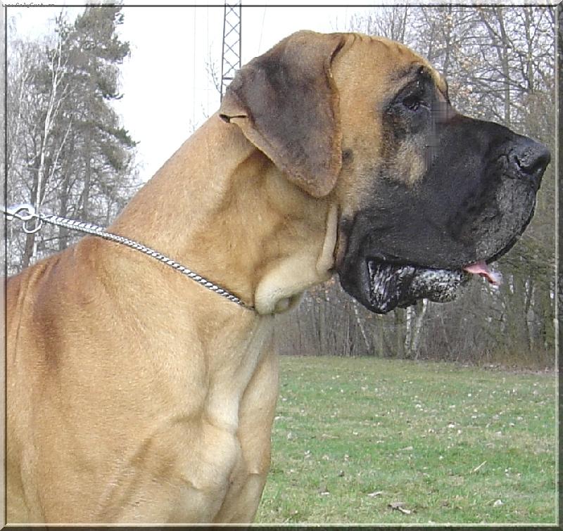 Foto: Armani von Graslic