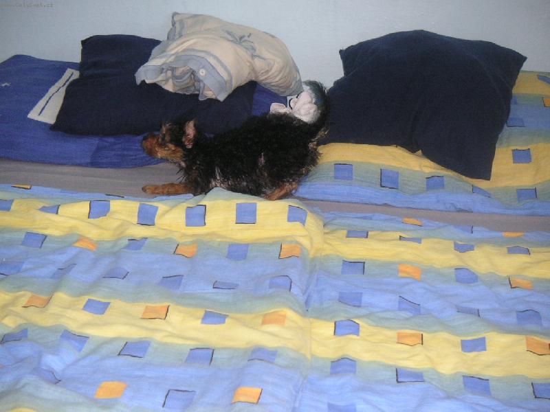 Foto: Po koup�n� se sna��m co nejrychleji osu�it...