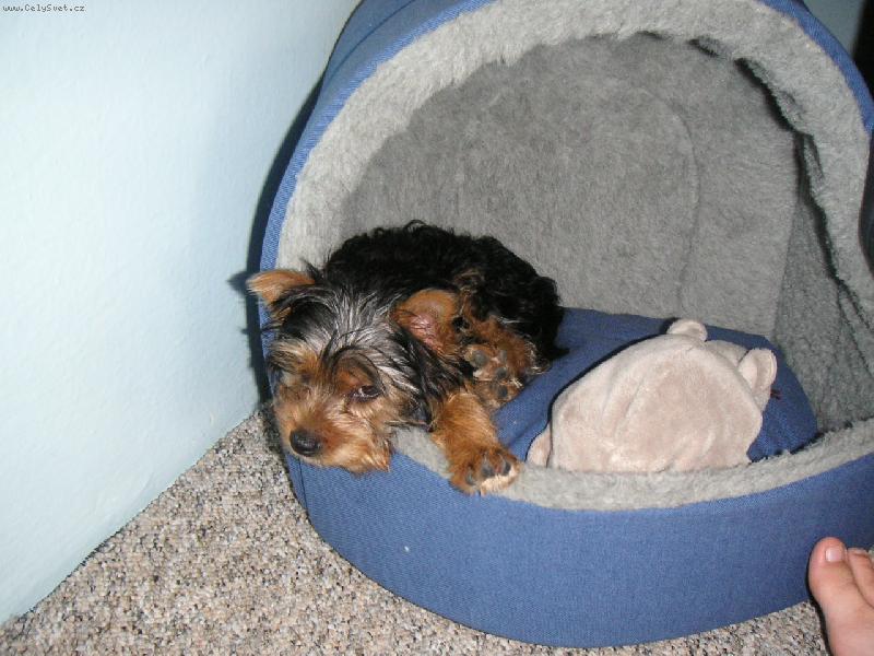 Foto: Dobr� r�no