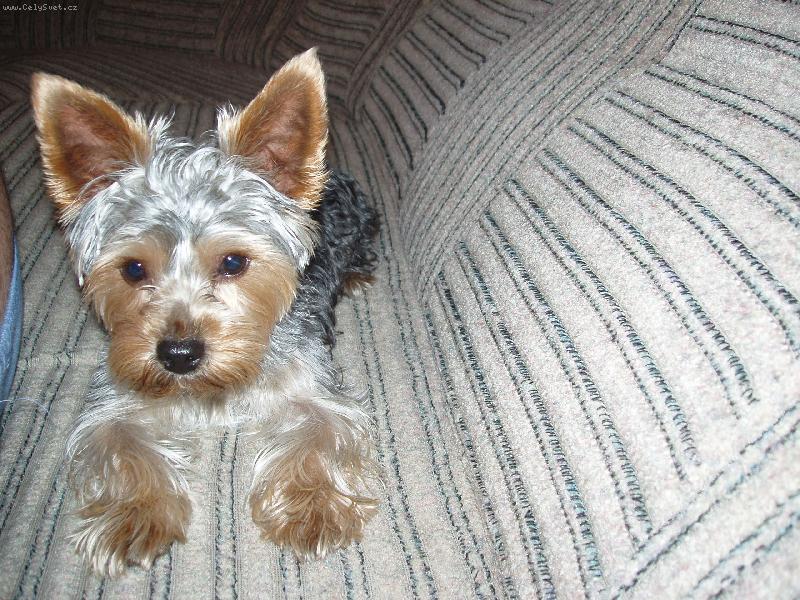 Foto: N� m�il��ek-Leh�rko