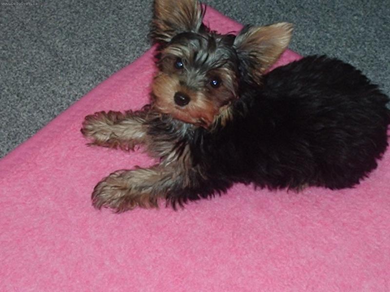 Foto: Ben  4 m�s�ce