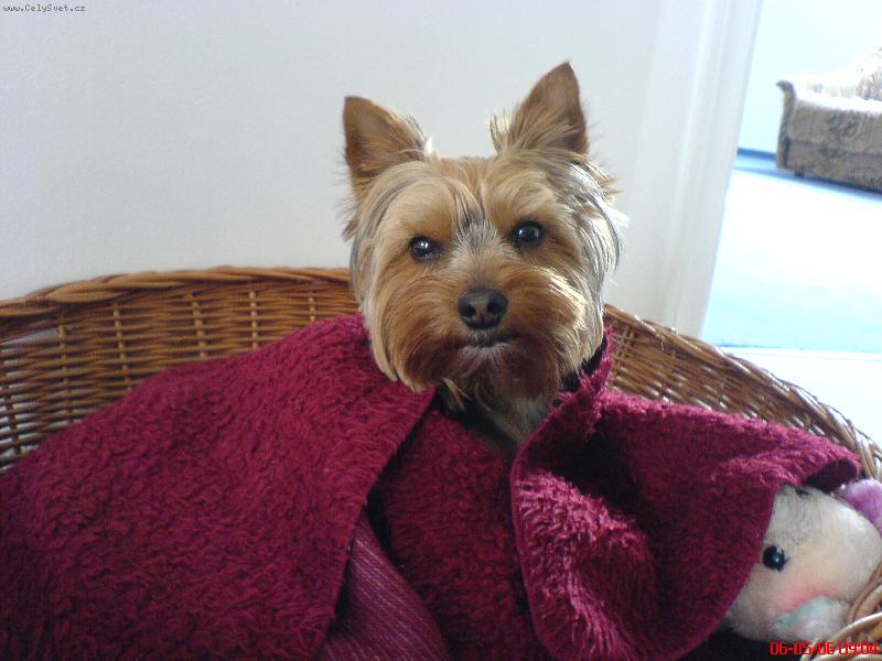 Foto: Mil��ek Muff�nek