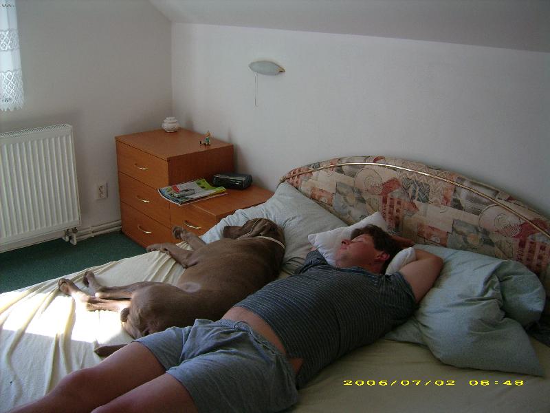 Foto: Arny od Voka�ovsk�ho rybn�ka-pohoda s p�nem