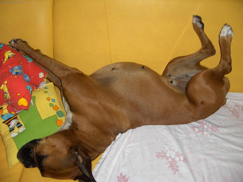 Foto: Donna-najoblubenej�ie miesto :O)