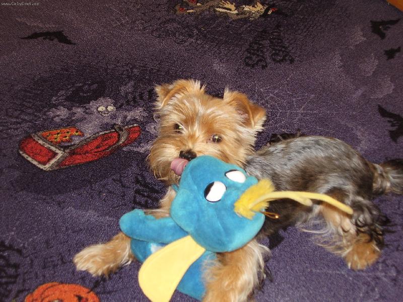 Foto: Siuz�-Chytila jsem si cv�ka!!