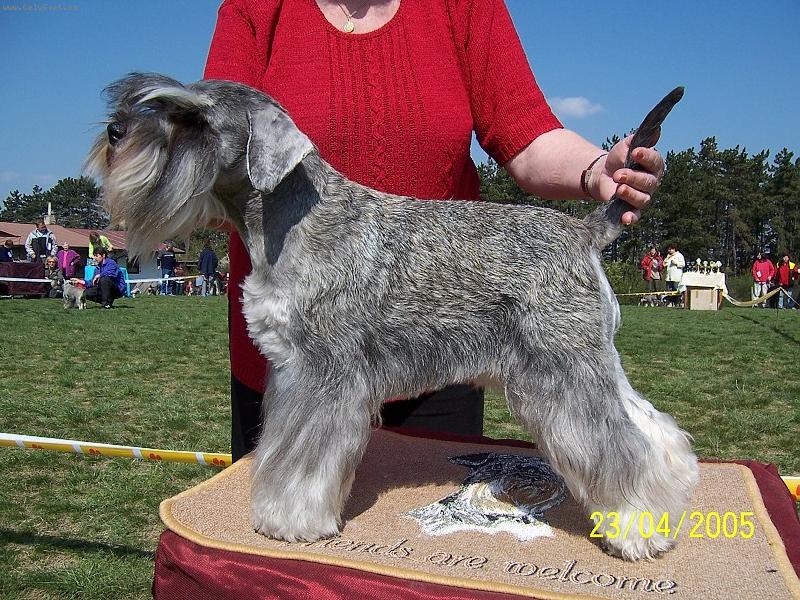 Foto: Ch. Flavie z Povod� Oharky