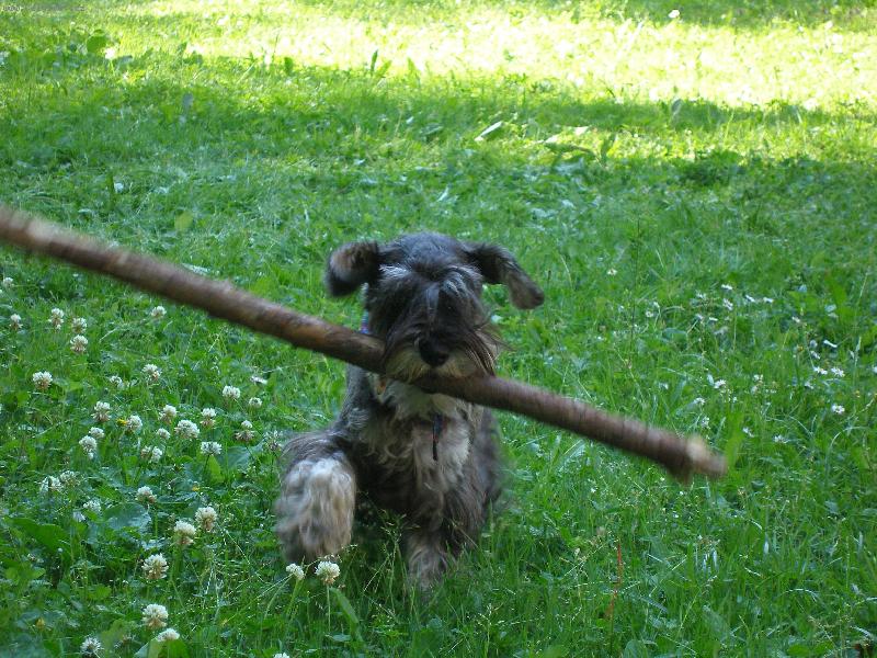 Foto: Gwen z Povod� Oharky