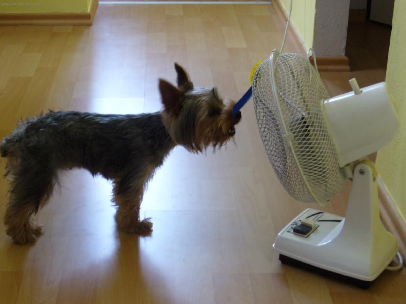 Foto: MIA z D���na-...to je hic...