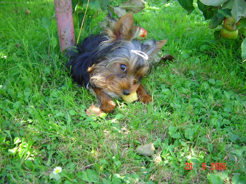 Foto: Filipek-Nekoukejte na m� tak:)