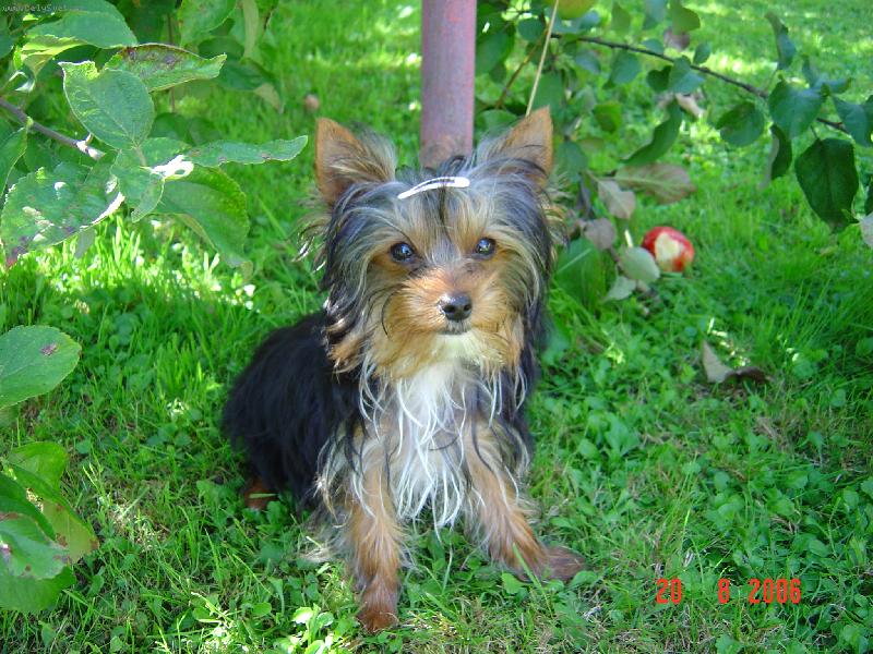 Foto: Filipek u� po t�et�-To jsem, ale model, co?