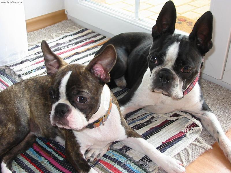 Foto: gwendy a colombo