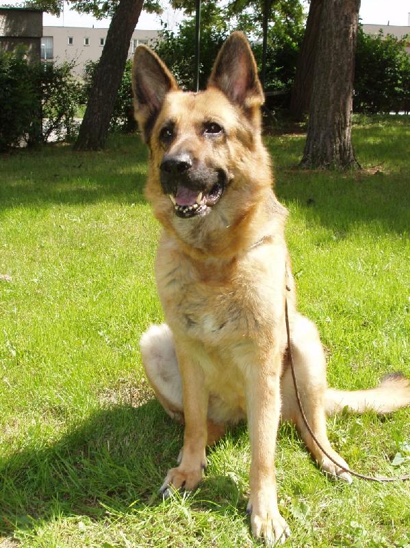 Foto: Ischa Nov� Kasio-vzpom�n�me :(