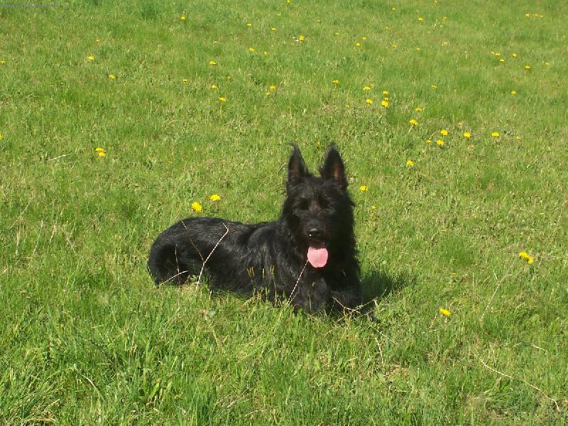 Foto: Po del�� proch�zce si r�d odpo�inu-Jim