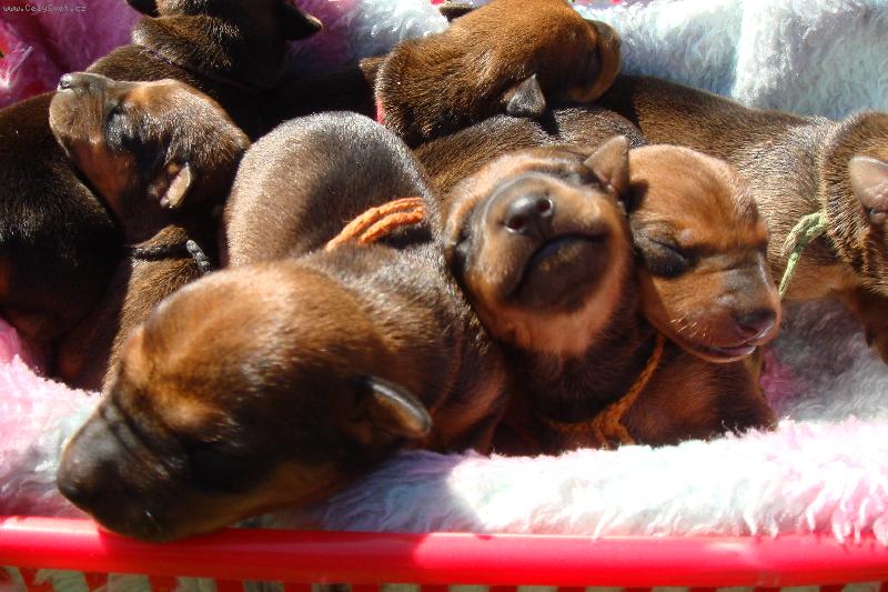 Foto: Pin�� miminka-Hur� u� jsme kone�n� venku z b��ka