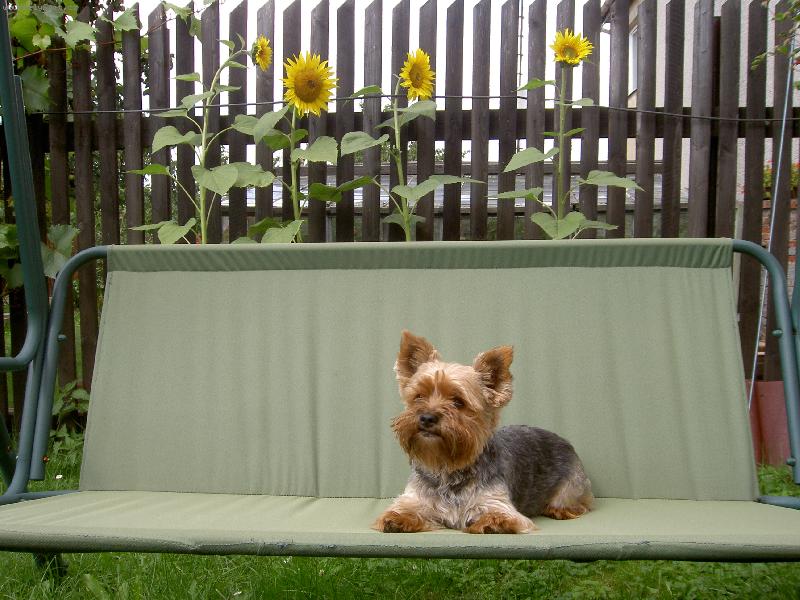 Foto: Jak je kr�sn� v l�t�!