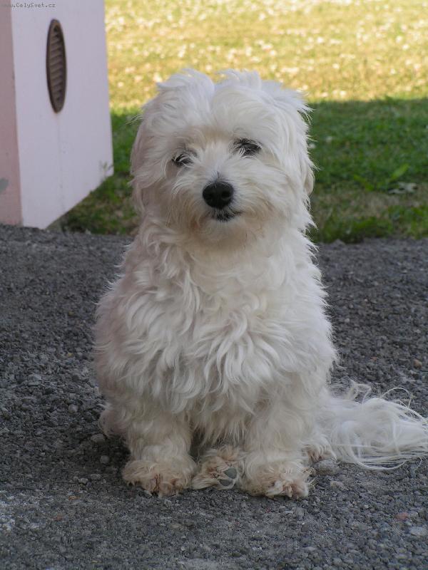 Foto: Mike�ek ze �ukova-Kdo mi d� pusinku??? :))