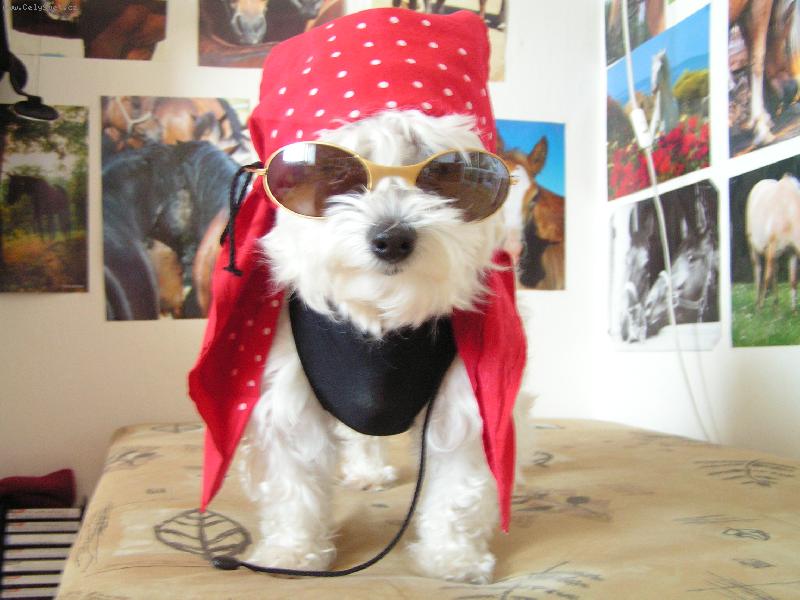 Foto: Mike�ek ze �ukova-Jsem to ale pir�t, co?