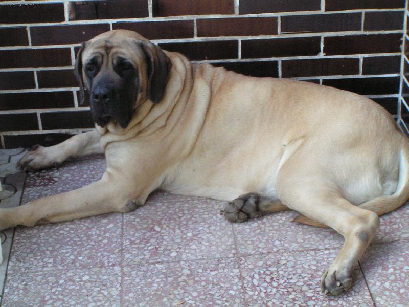 Foto: S�ba ze �ukova-To je ale veget