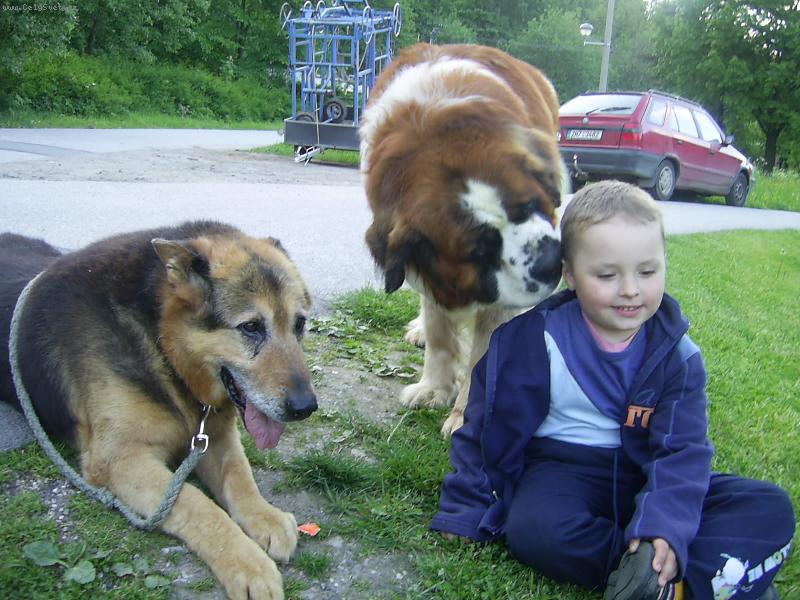 Foto: Bucci, Wells a Joe-Prima kluci